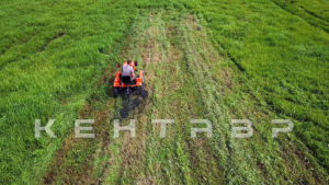 Минитрактор Кентавр Т-4 LITE 6+2 (Toyokawa) STD agri 5,00-12 / 9,50-16 + (фреза/плуг)