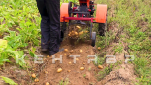 Мотоблок Кентавр 1081Д (Toyokawa)